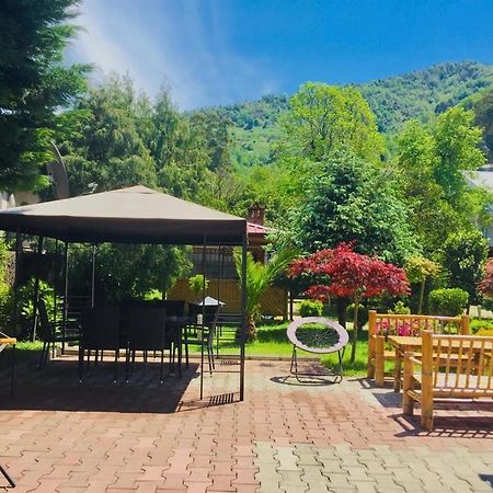Vacation Home Nukri 高尼奥 外观 照片