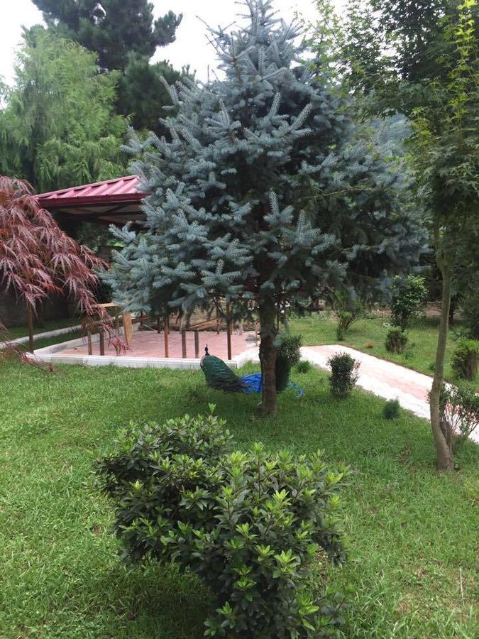 Vacation Home Nukri 高尼奥 外观 照片