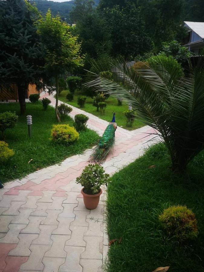 Vacation Home Nukri 高尼奥 外观 照片