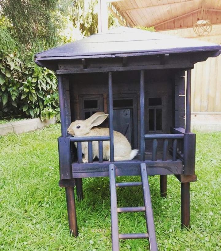 Vacation Home Nukri 高尼奥 外观 照片