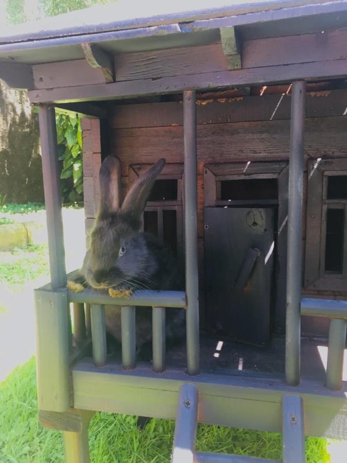 Vacation Home Nukri 高尼奥 外观 照片
